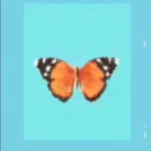 Meet your Posher, Ada